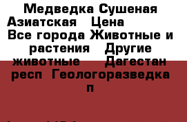 Медведка Сушеная Азиатская › Цена ­ 1 400 - Все города Животные и растения » Другие животные   . Дагестан респ.,Геологоразведка п.